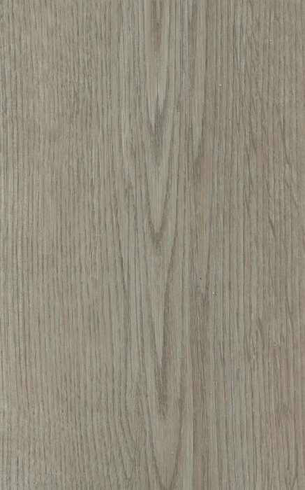 Ash Gray Oak — SPC vinyl plank swatch | Rios Floor Orlando