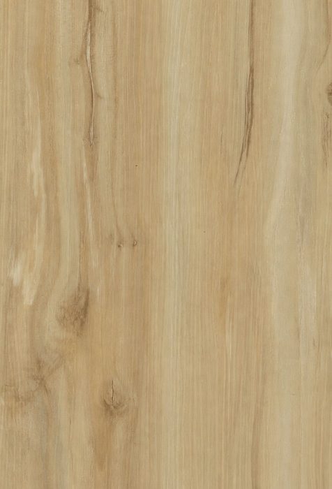 Nordic Light Oak — SPC vinyl plank swatch | Rios Floor Orlando