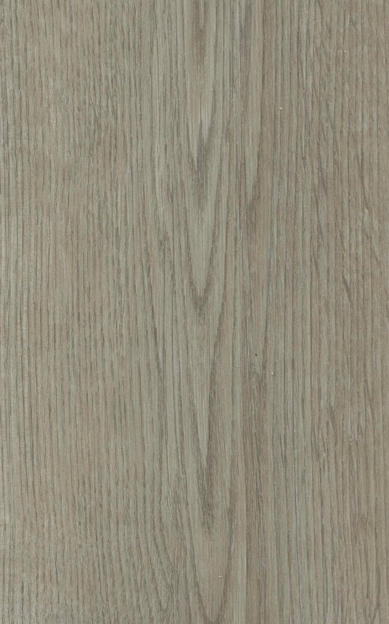 Ash Gray Oak – swatch | Rios Floor Orlando