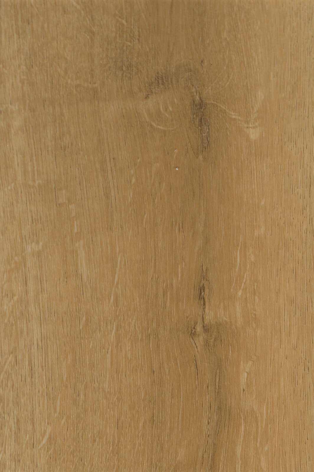 Bright Natural Oak – swatch | Rios Floor Orlando