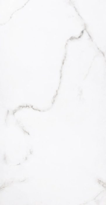 Carrara — porcelain tile swatch | Rios Floor Orlando