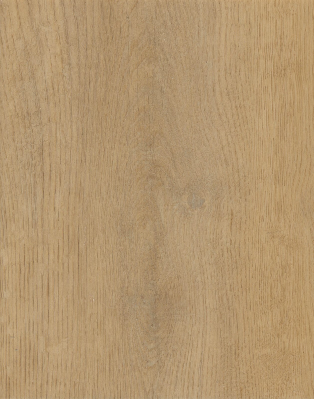 Gold Coast Oak – swatch | Rios Floor Orlando
