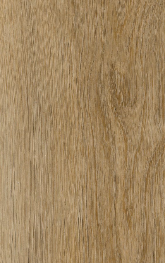 Honey Oak – swatch | Rios Floor Orlando
