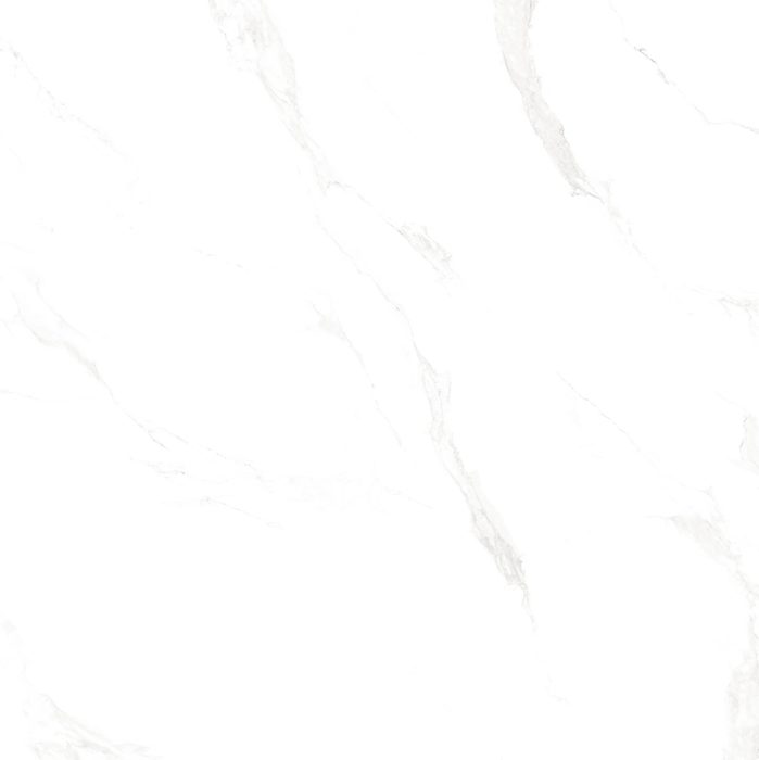 Marble Carrara — porcelain tile swatch | Rios Floor Orlando
