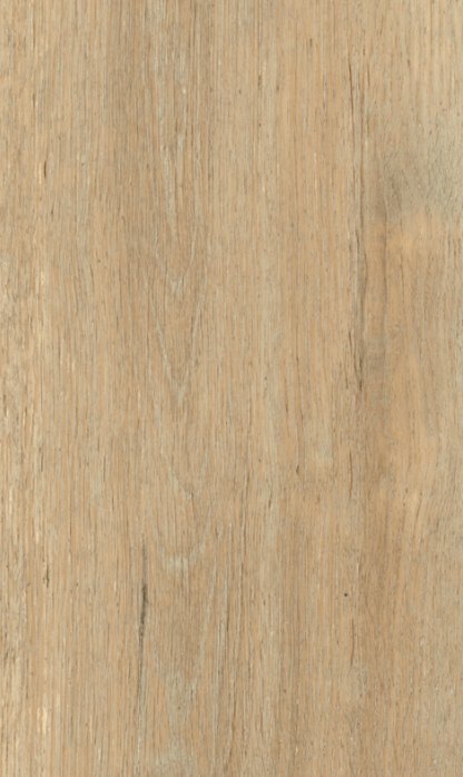 Natural Maple Oak – swatch | Rios Floor Orlando