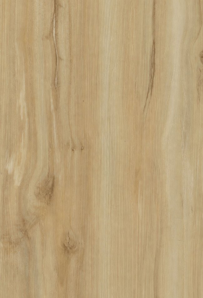 Nordic Light Oak – swatch | Rios Floor Orlando