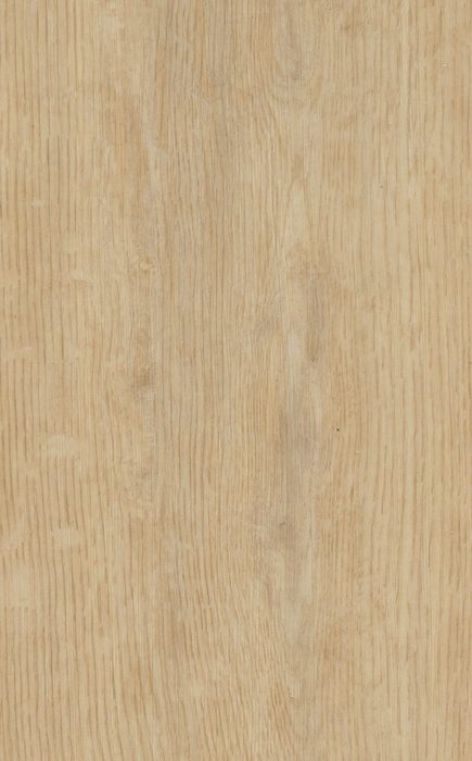 Light Natural Oak — SPC vinyl plank swatch | Rios Floor Orlando
