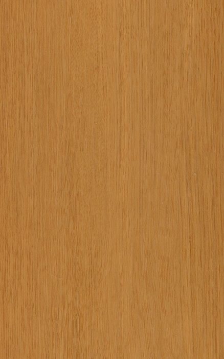 Warm Golden Oak — SPC vinyl plank swatch | Rios Floor Orlando
