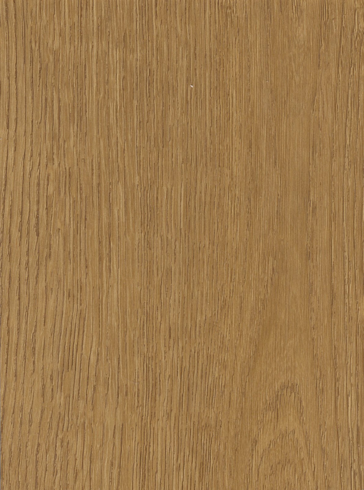 Rustik Honey Oak – swatch | Rios Floor Orlando