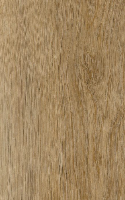 Honey Oak — SPC vinyl plank swatch | Rios Floor Orlando