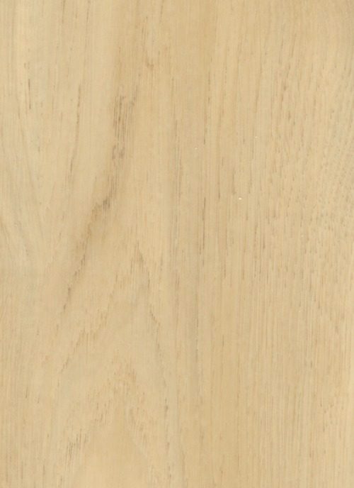 Silver Oak — SPC vinyl plank swatch | Rios Floor Orlando