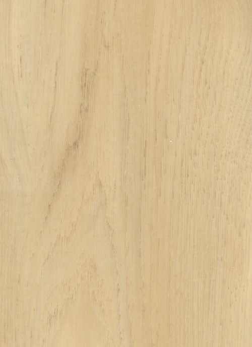 Silver Oak – swatch | Rios Floor Orlando