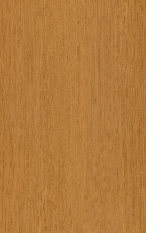 Warm Golden Oak – swatch | Rios Floor Orlando